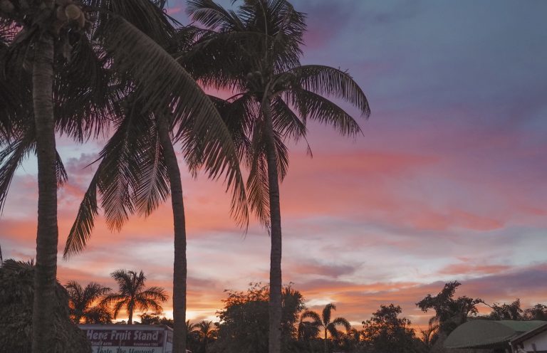Discover Miami: Tips for an Unforgettable Trip